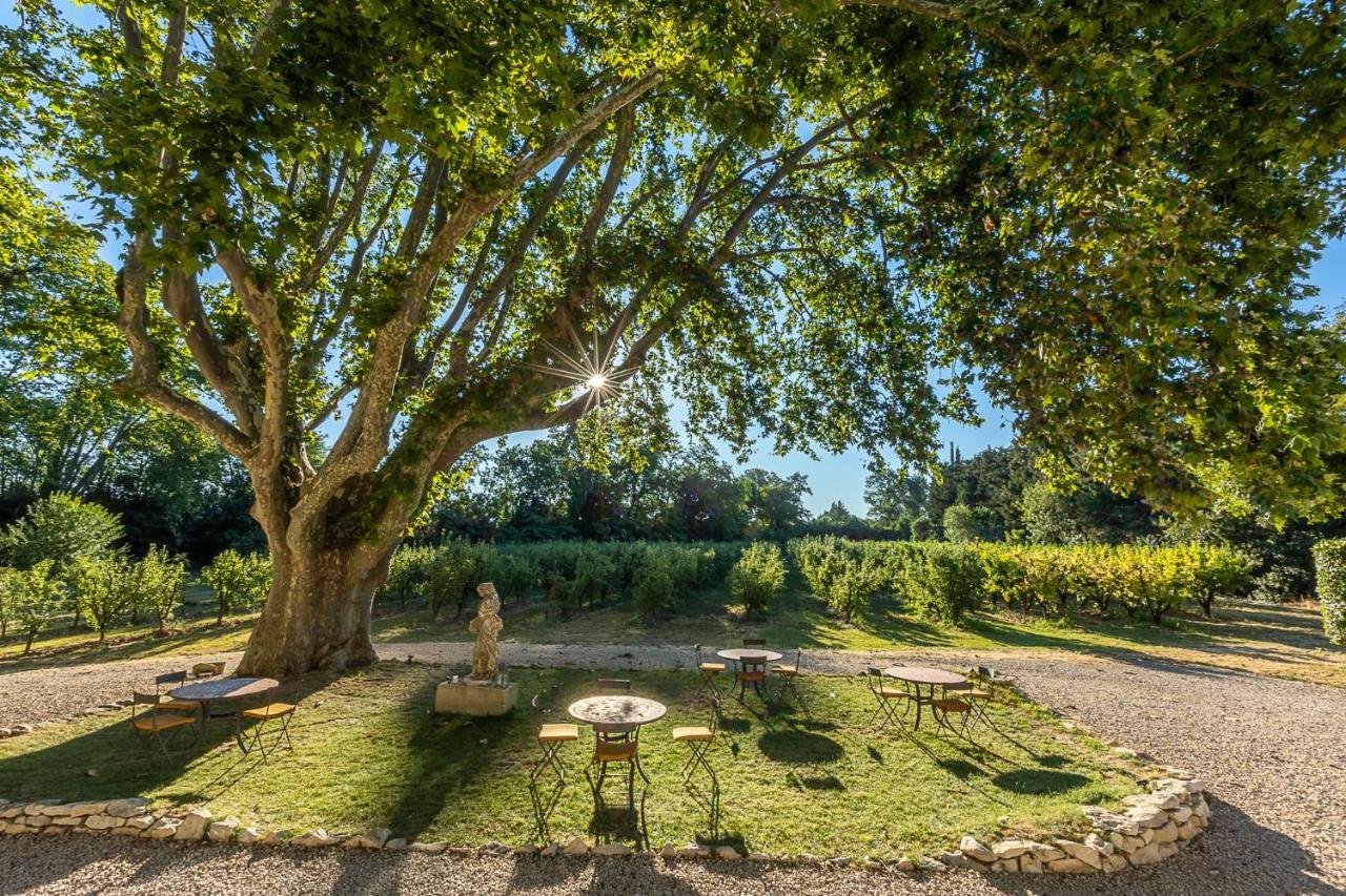 Mas De Capelou Bed and Breakfast Avignon Eksteriør billede