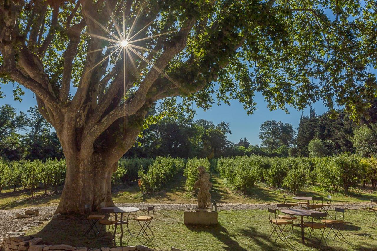 Mas De Capelou Bed and Breakfast Avignon Eksteriør billede